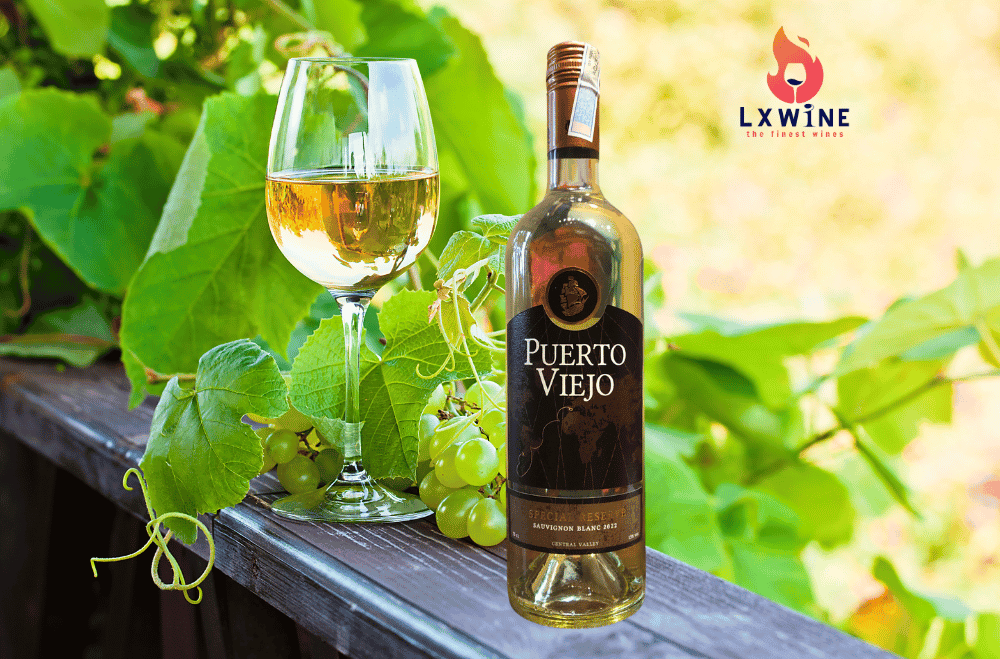 Vang trắng Puerto viejo Reserva chính hãng